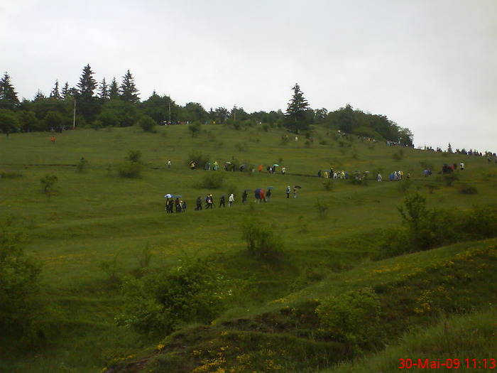 DSC01540 - Sumuleu-Ciuc