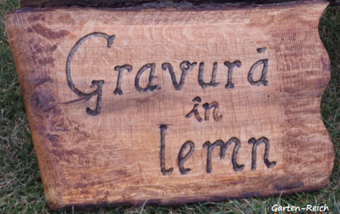 gravura - Lucru in lemn-Holzarbeiten