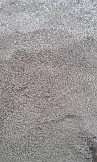 IMG_20140710_095927 - Copia