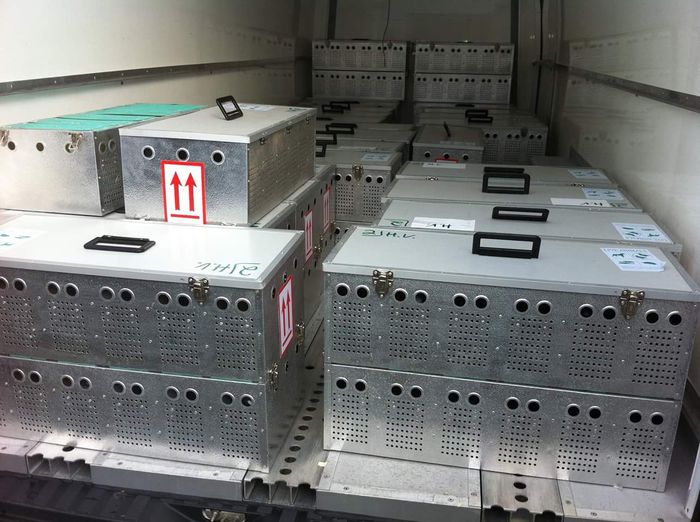 Astazi venim catre Romania; Începând de sâmbătă începem să trimitem accesoriile care le asteptati. Ami cer scuze pentru cele 3 zile întârziere
