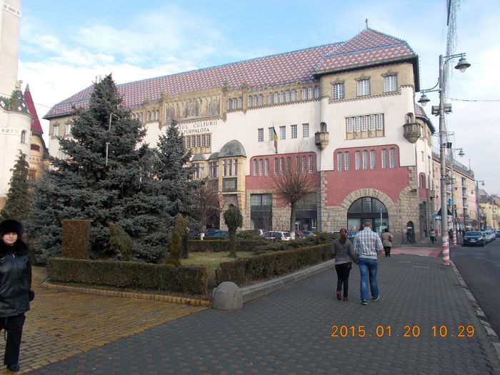 Tg.Mures-2014 011