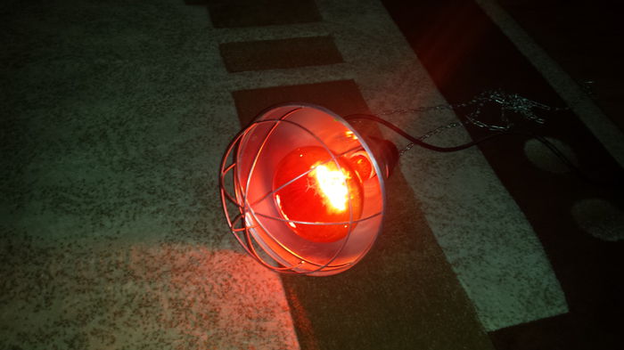 20150121_165919 - lampa cu infrarosu