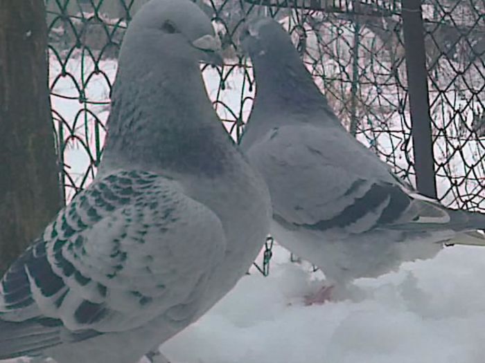 Fotografie0394_001 - amintiri