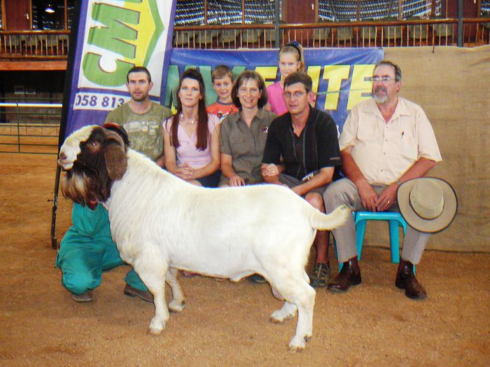Boerul deosebit-65 - Rase de oi si capre-Poze deosebite-5