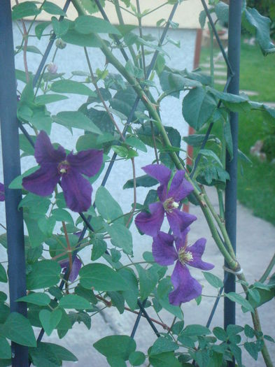 Polish Spirit 11 iunie 2014