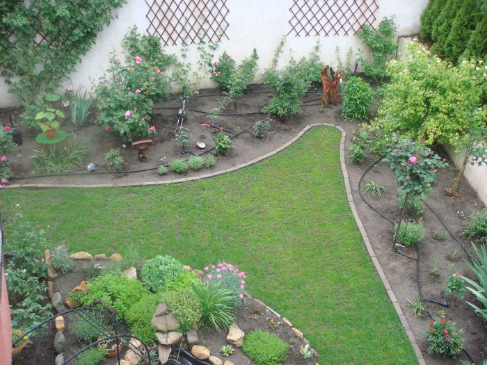 gradina 2014-05-23 (3)