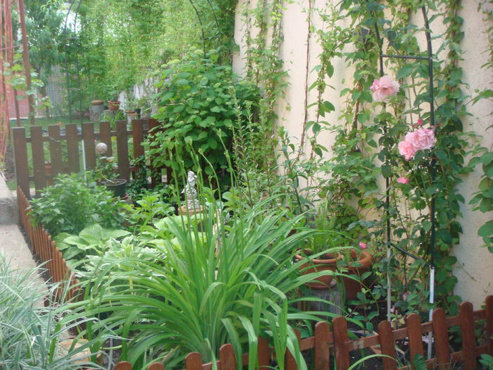 gradina 2014-05-28 (5)