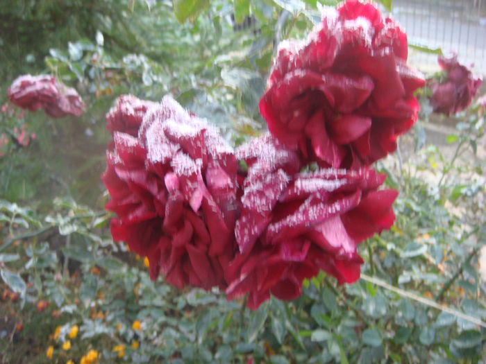 2014-10-26 Deep Impression