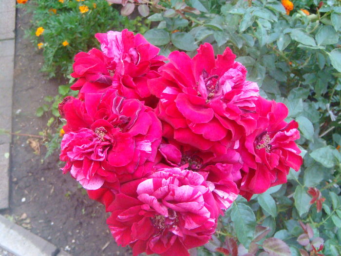 Deep Impression 2014.08.01 (2)