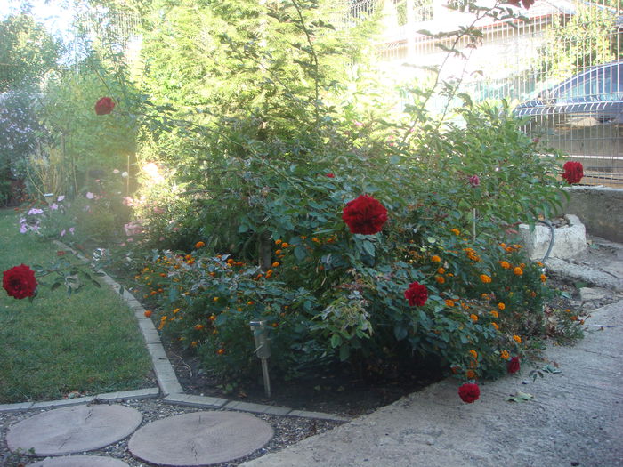 Deep Impression 2014.09.24 (3)