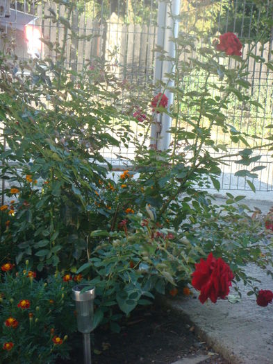 Deep Impression 2014.09.24