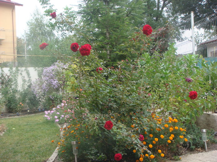 Deep Impression 2014-10-02 (2)