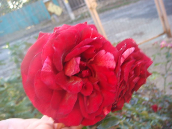 Deep Impression 2014-10-25 (3)