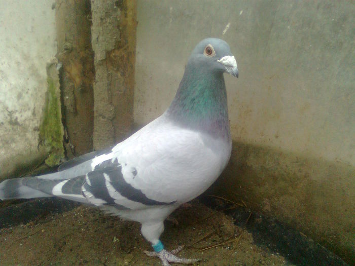 Image0379