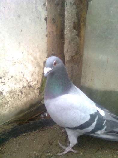 Image0380