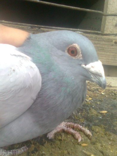 Image0383