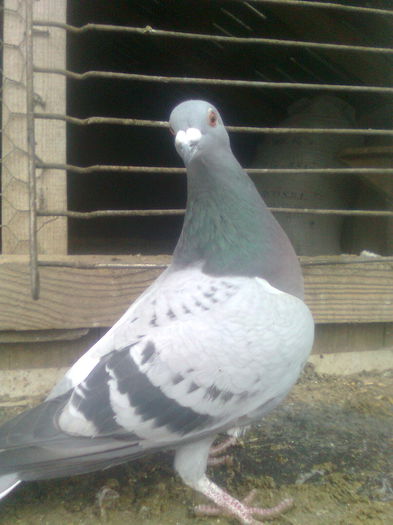Image0386