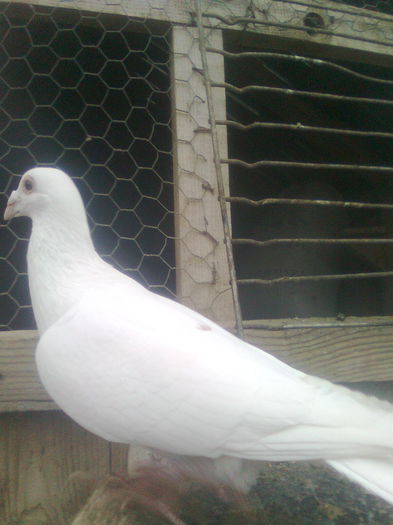 Image0392
