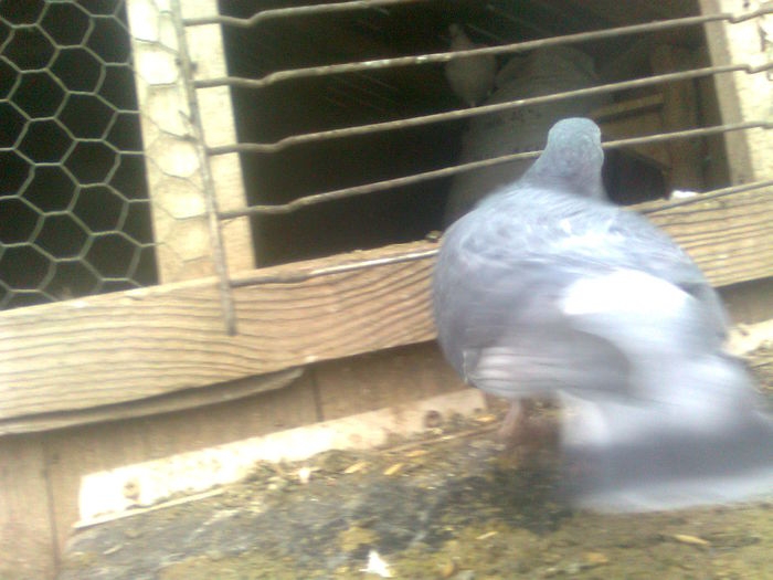Image0394