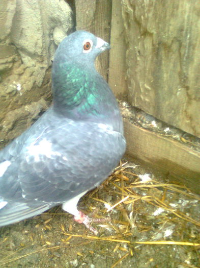 Image0396