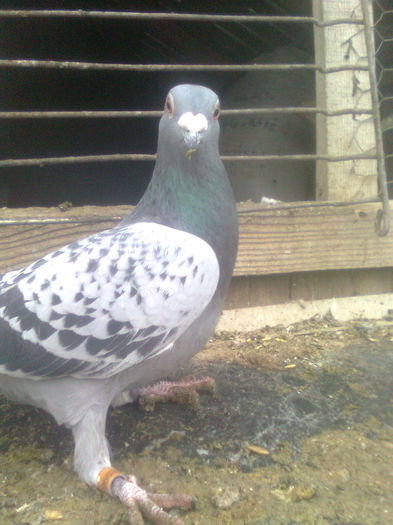 Image0398
