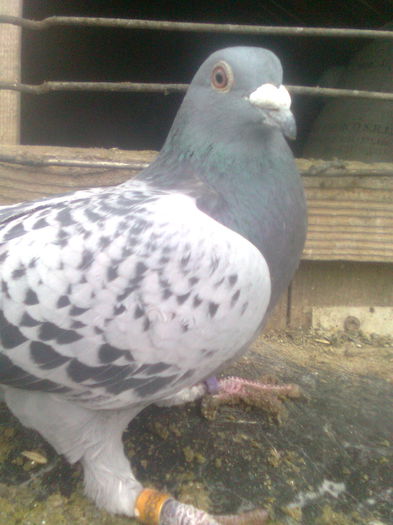 Image0400