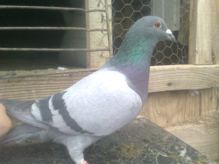 Image0404