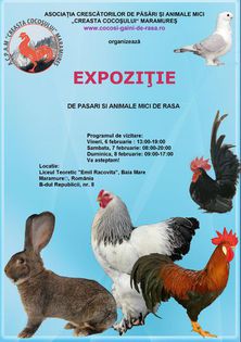  - Expozitie Maramures  2015