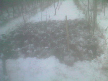 SP_A0766 - iarna in gradina