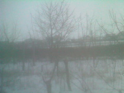 SP_A0772 - iarna in gradina