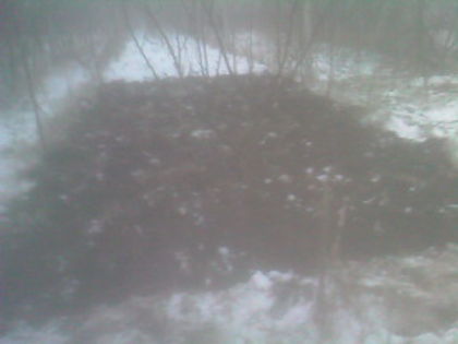 SP_A0774 - iarna in gradina