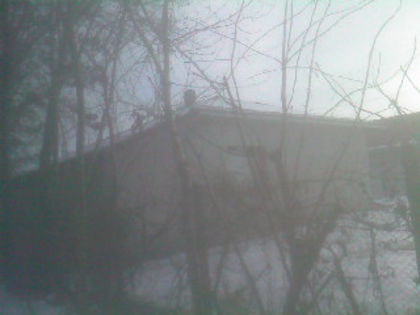 SP_A0791 - iarna in gradina