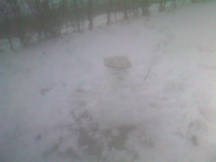 SP_A0814 - iarna in gradina