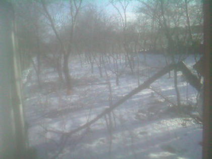 SP_A0815 - iarna in gradina