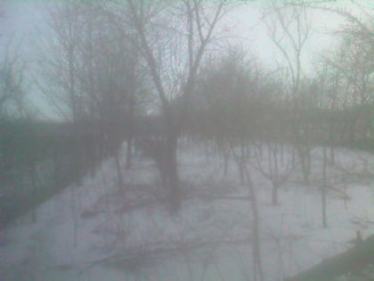 SP_A0816 - iarna in gradina