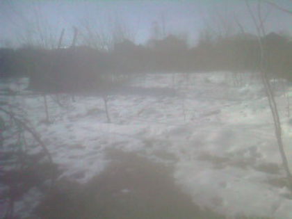 SP_A0817 - iarna in gradina