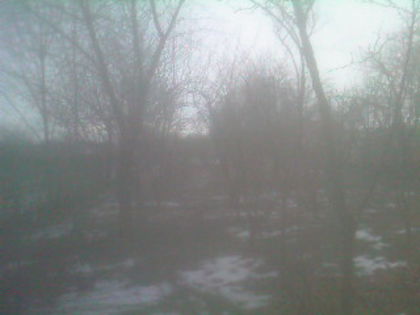 SP_A0820 - iarna in gradina
