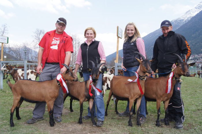 Participanti la concurs cu Alpinele
