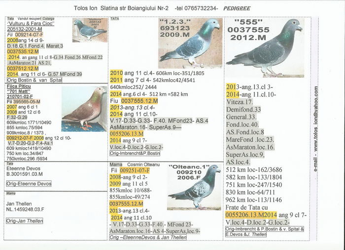 0037555.2012.M.555 - 2-2014 MARATONISTI