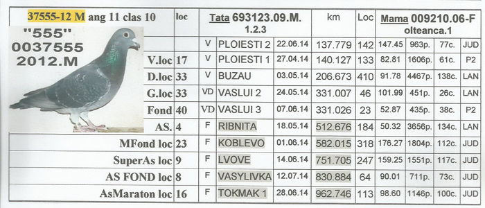 0037555.2012.M .555 - 2-2014 MARATONISTI