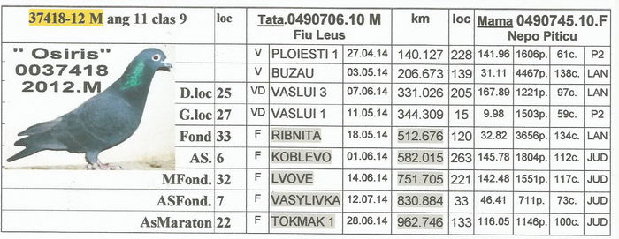 0037418.2012.M OSIRIS - 2-2014 MARATONISTI