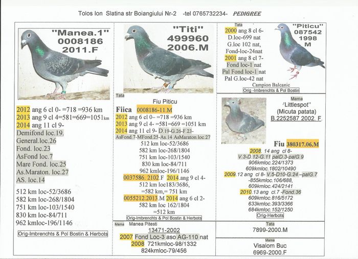 0008186.2011.F.Manea.1