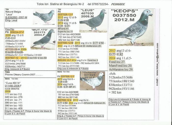 0037550.2012.M Keops