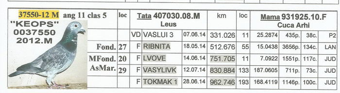 0037550.2012.M  Keops