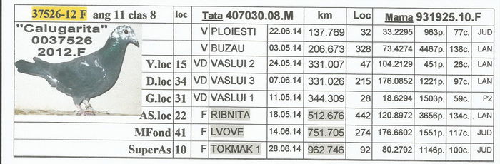 0037526.2012.F.calugarita