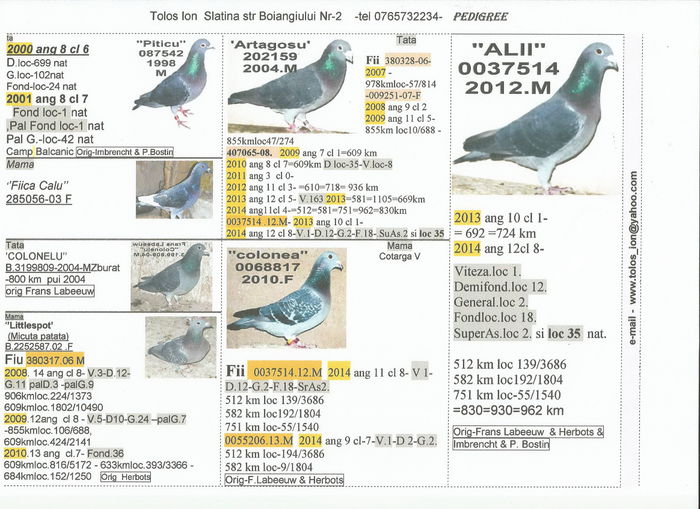 0037514.2012.M.Alii