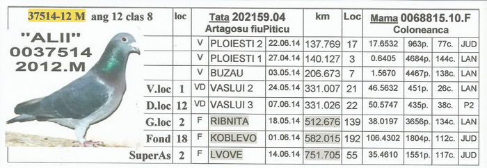 0037514.2012.M Alii