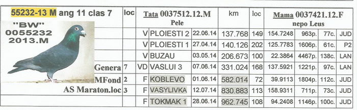 0055232.2013.M  BW