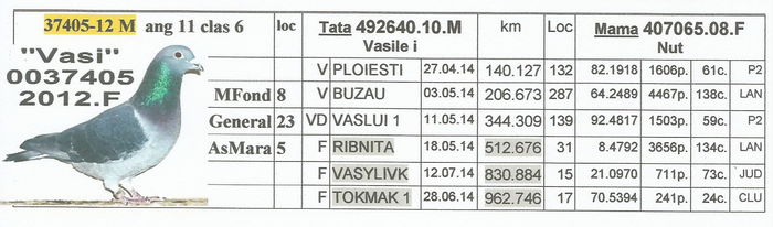 0037405.2012.M. Vasi