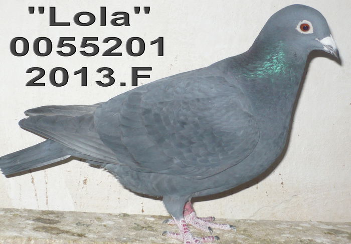 0055201.F Lola. ang 9 cl 4